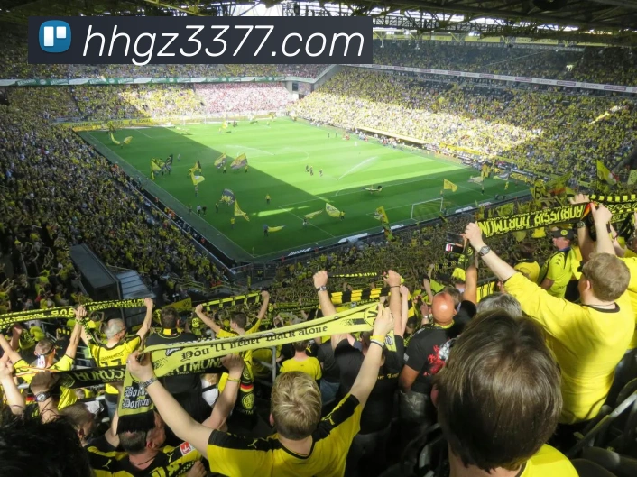 火狐体育官网首页服务体系